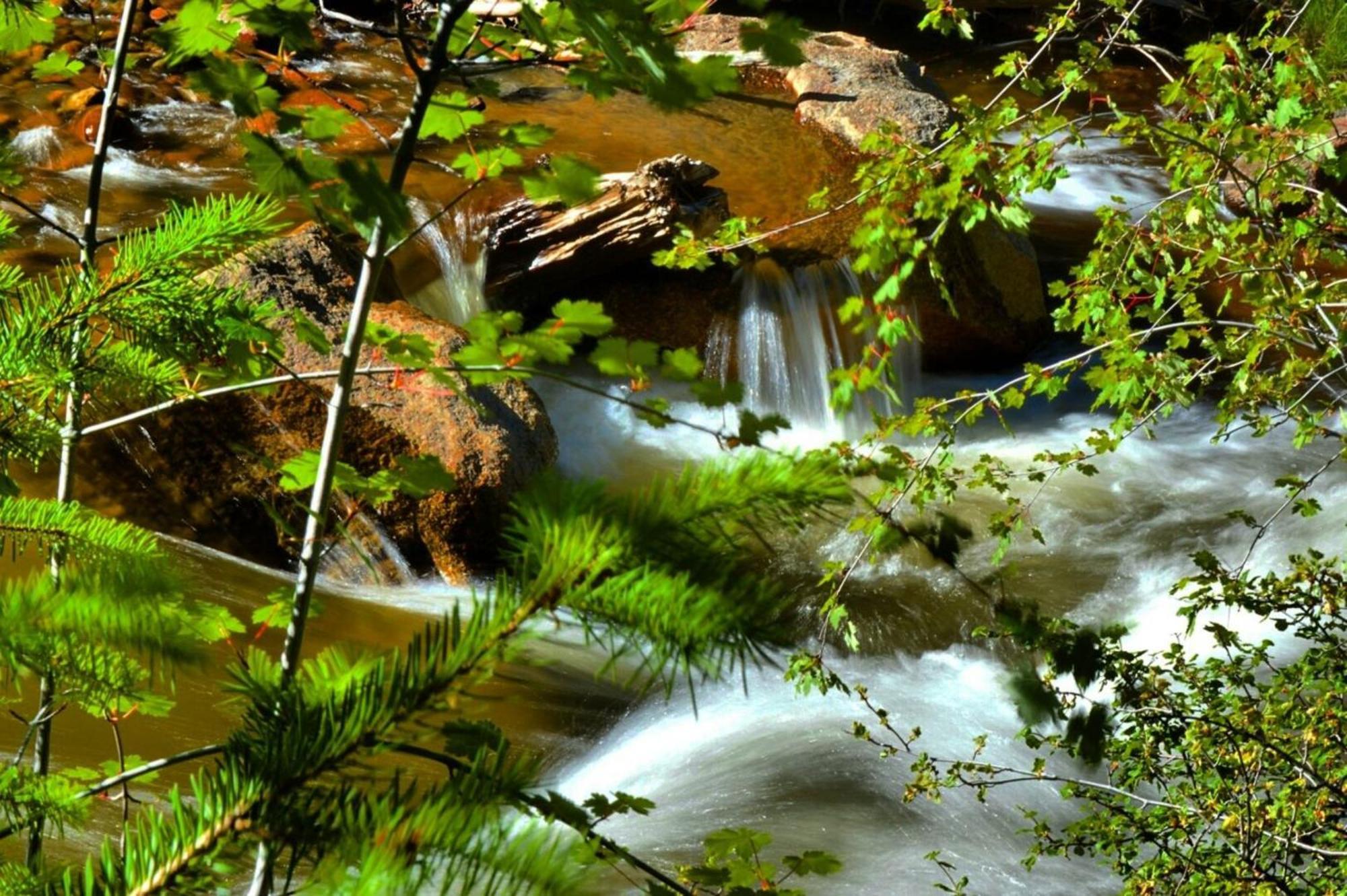 Stonebrook Resort - Adult Only Estes Park Bagian luar foto